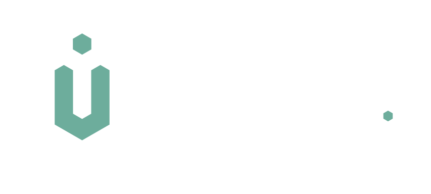 Infravise GmbH Logo
